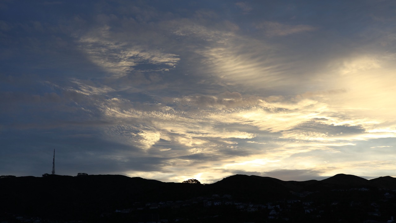 Photo of Others in Johnsonville