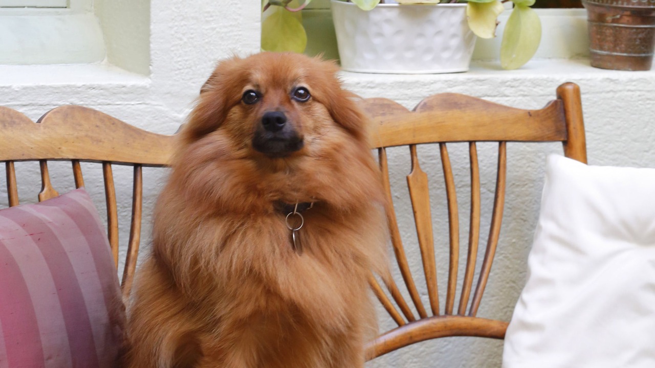 Photo of Outdoor in Paray-le-Monial