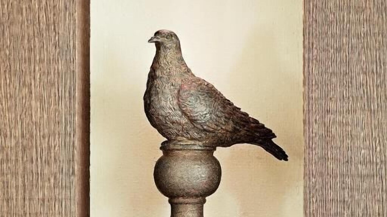 Photo of Others in Paray-le-Monial