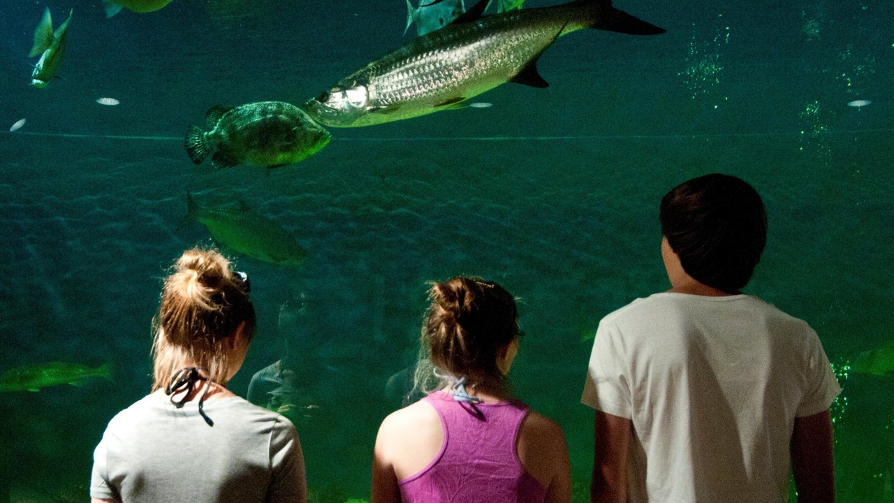 Photo of Others in Lake Jackson