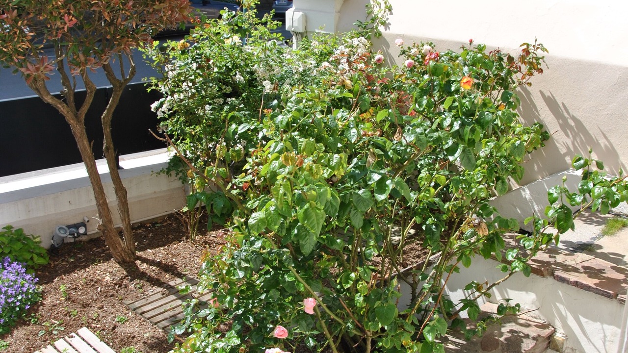 Photo of Outdoor in Courtoisville-Sillon-Moka