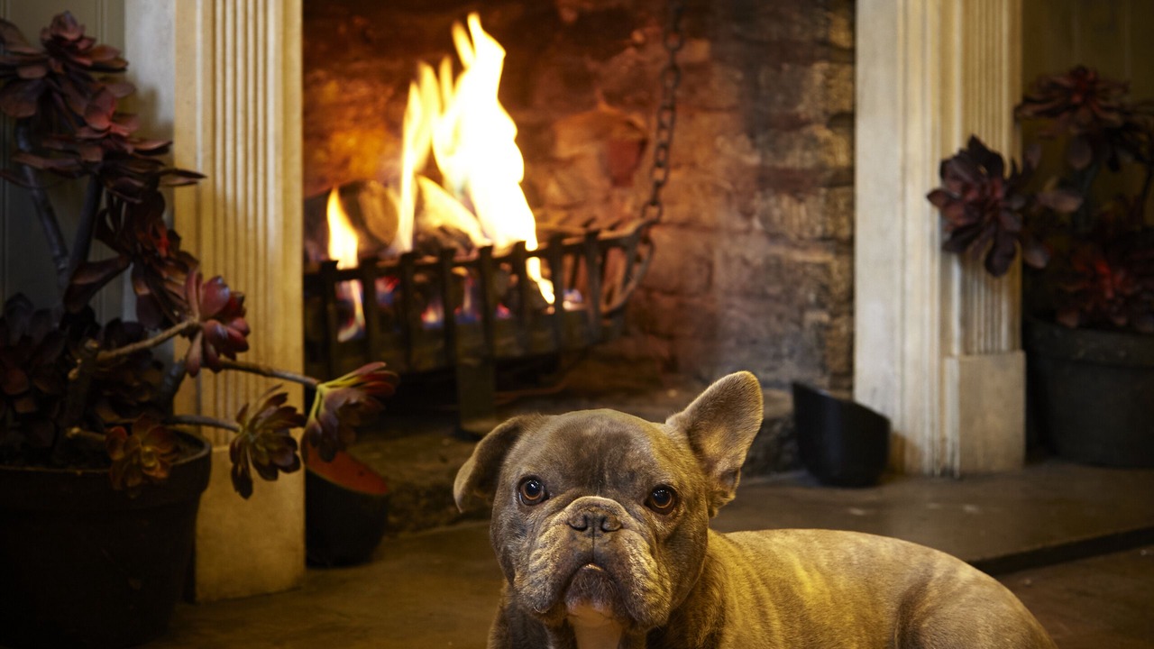 Photo of Others in Tetbury