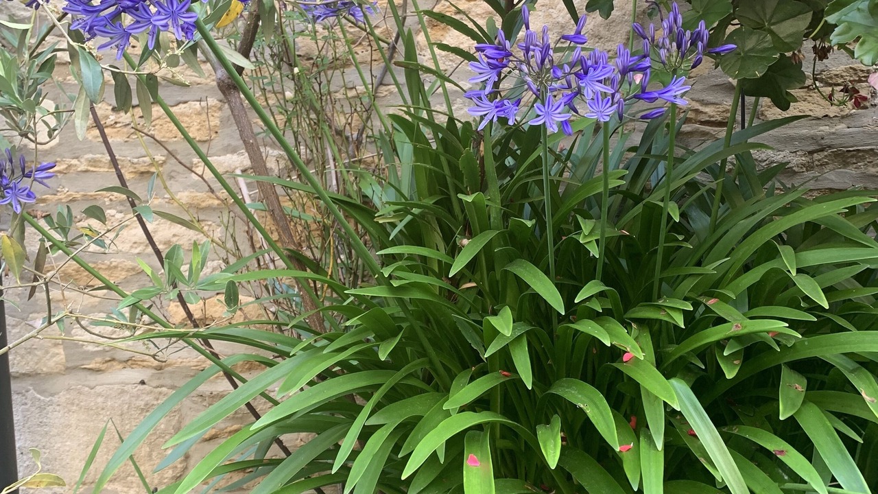 Photo of Outdoor in Tetbury