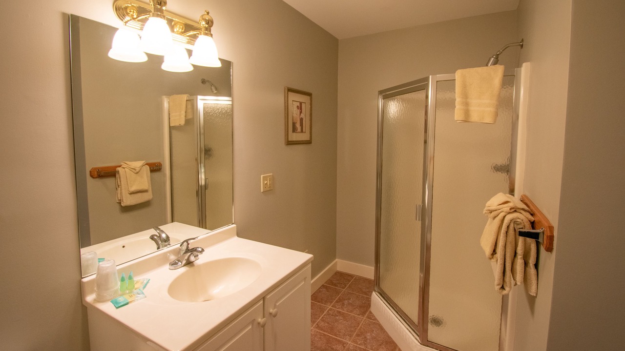 Photo of Bathroom in Bartlett