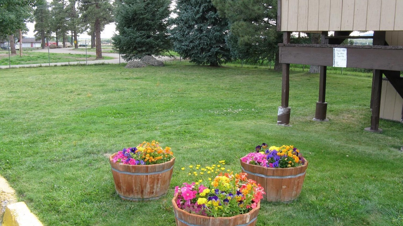 Photo of Outdoor in Chama
