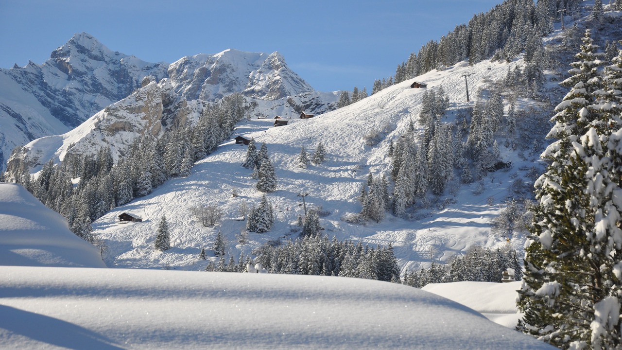 Photo of Bedroom in Murren