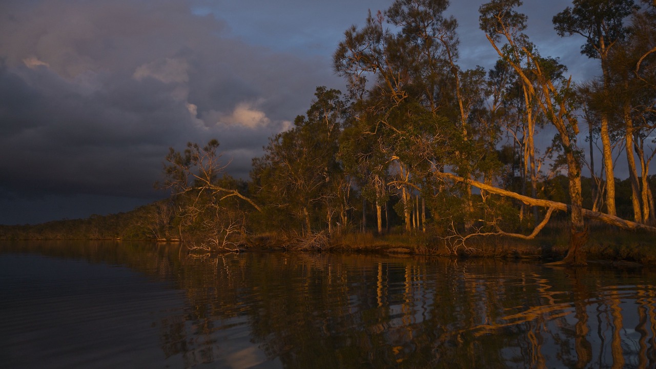 Photo of Outdoor in Peregian Beach