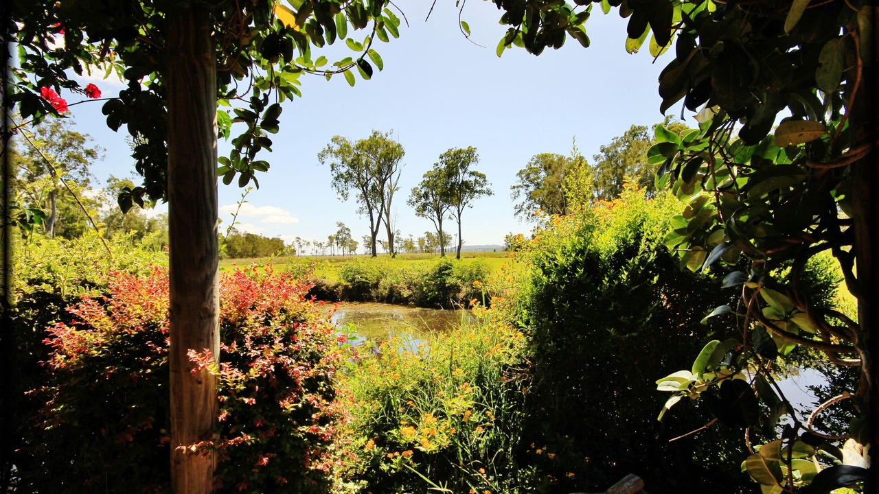 Photo of Outdoor in Peregian Beach