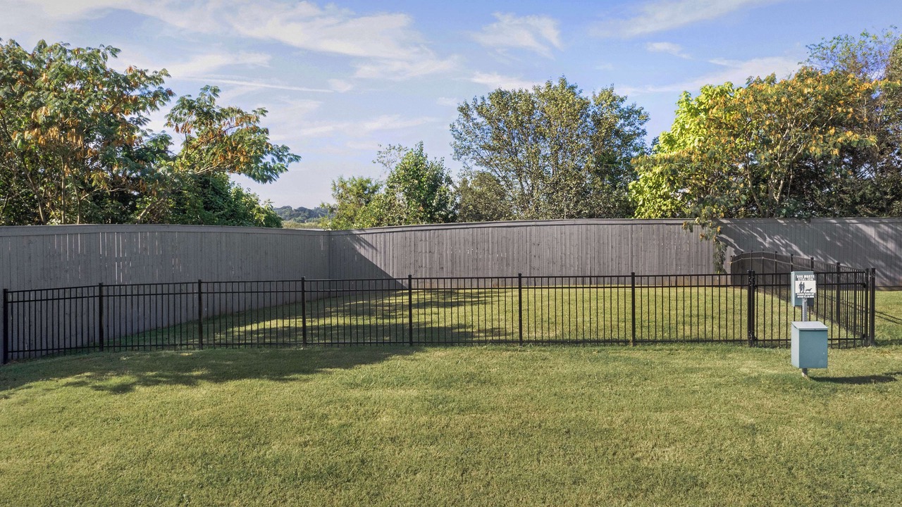 Photo of Outdoor in Knoxville