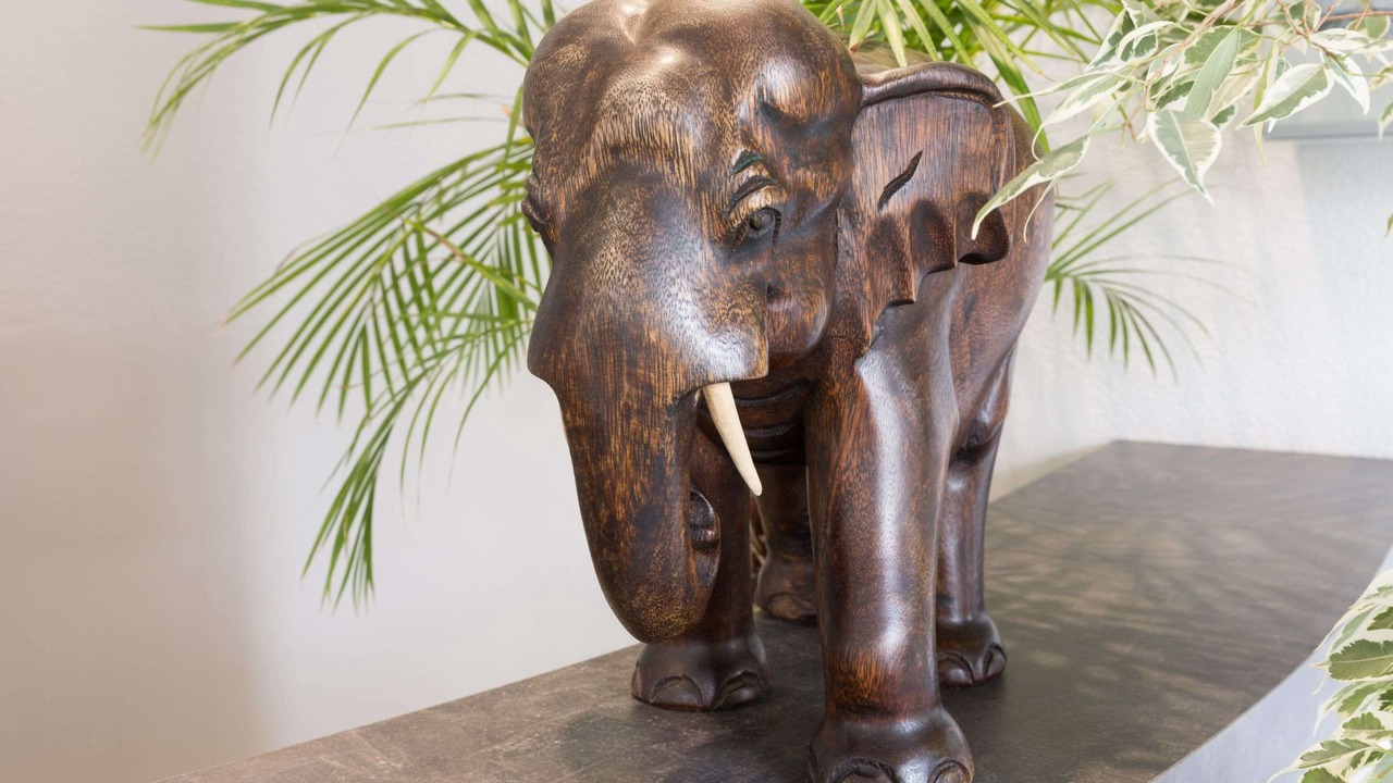 Photo of Others in Nevers