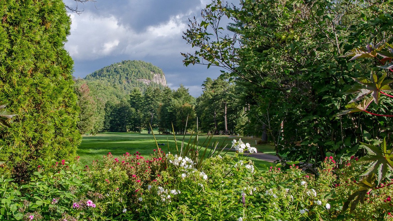 Photo of Others in Hale's Location