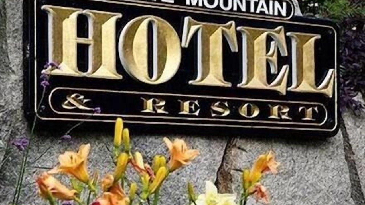 Photo of Outdoor in Hale's Location