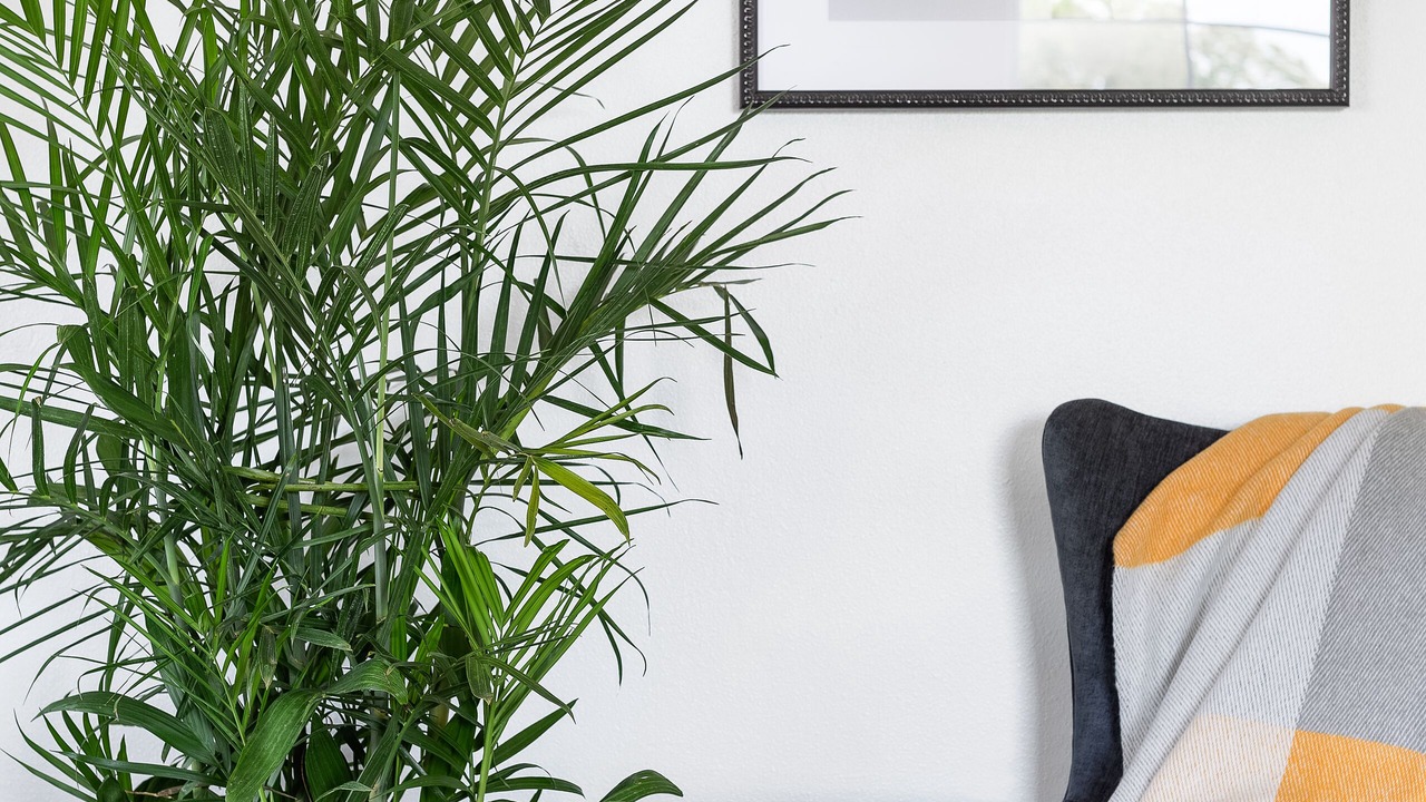 Photo of Bedroom in Lexington