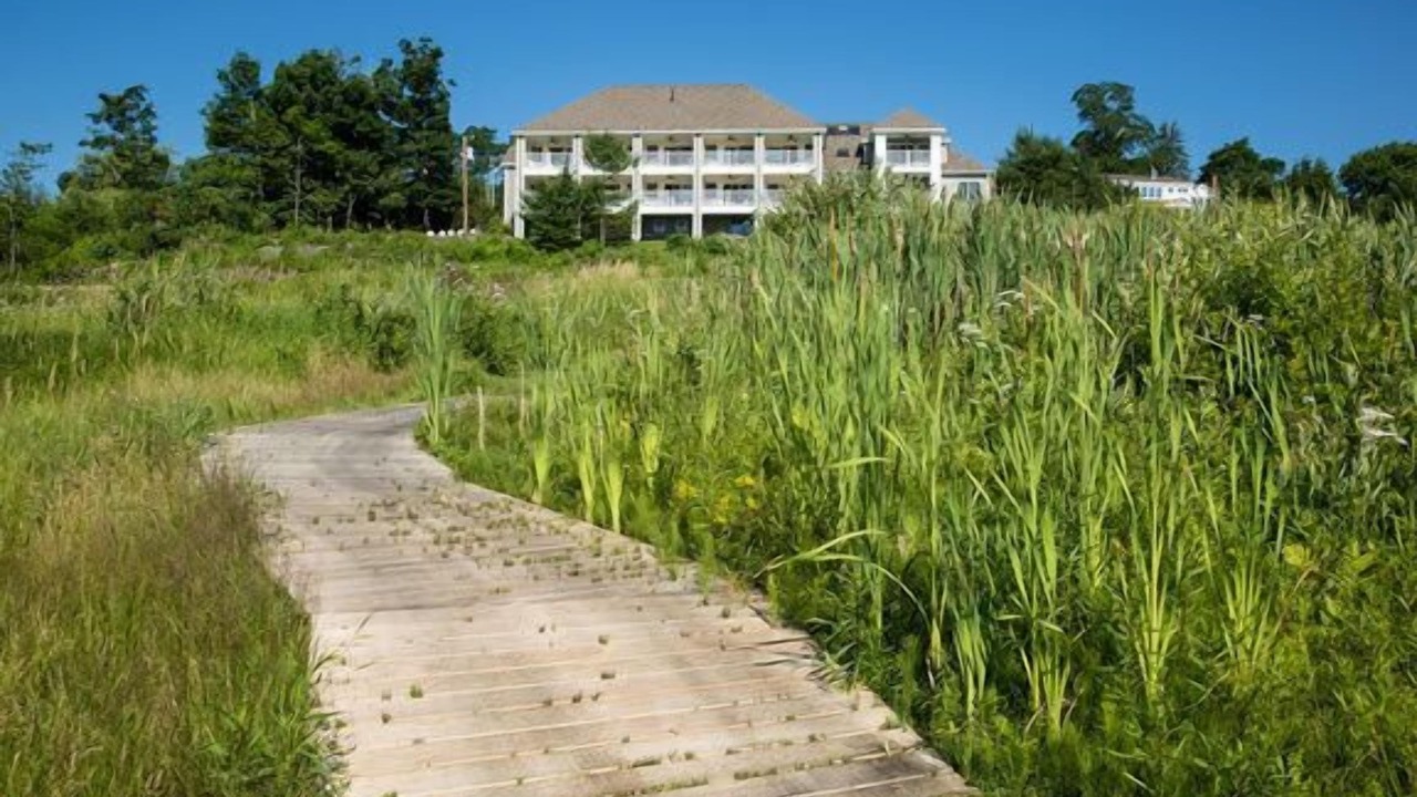 Photo of Outdoor in Glen Cove