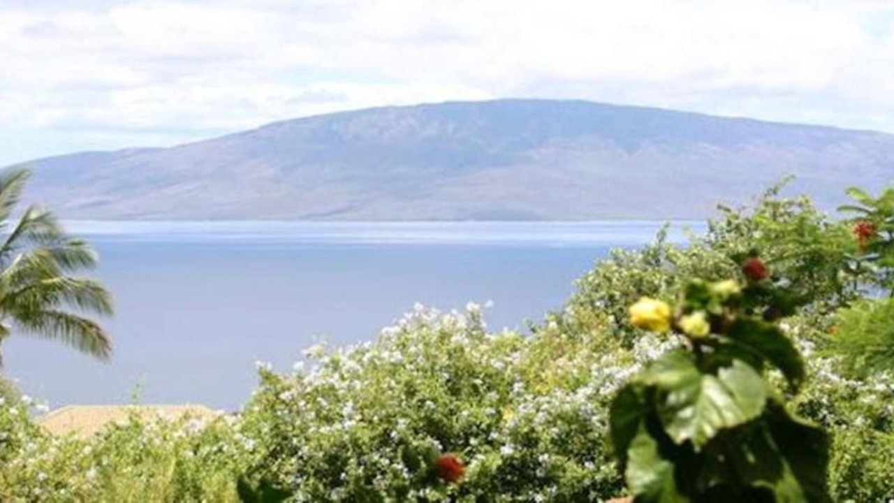 Photo of Outdoor in Historic Lahaina Front Street