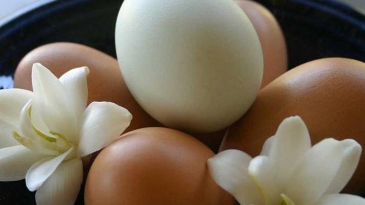 Photo of Others in Historic Lahaina Front Street