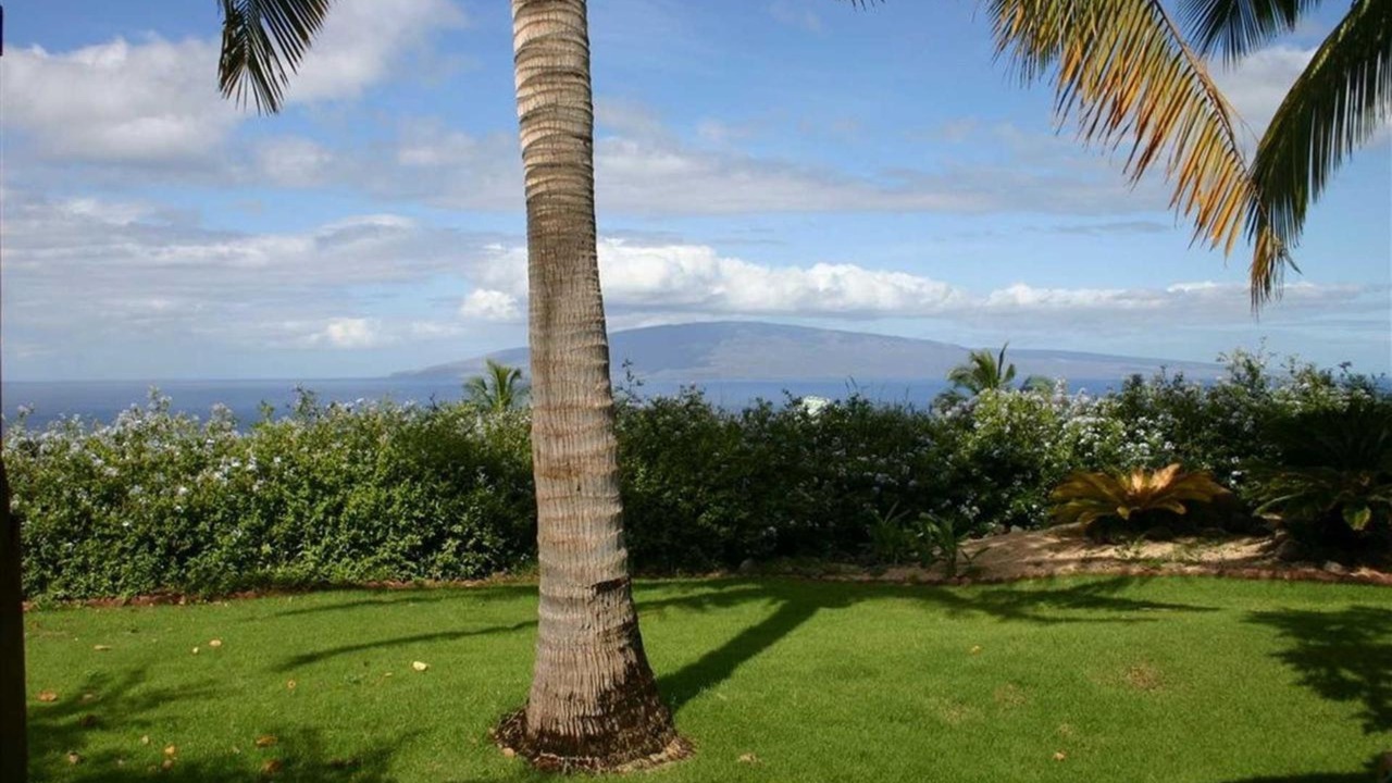 Photo of Others in Historic Lahaina Front Street