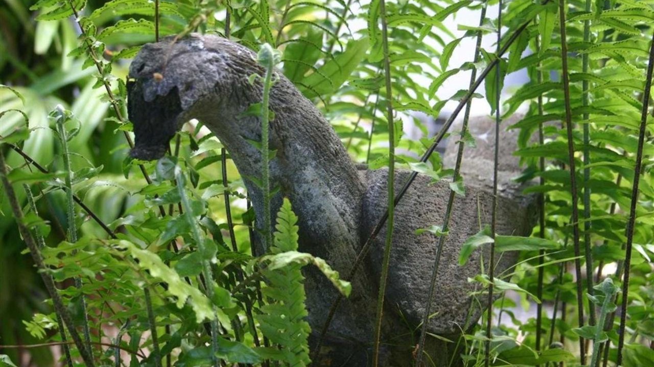 Photo of Outdoor in Historic Lahaina Front Street