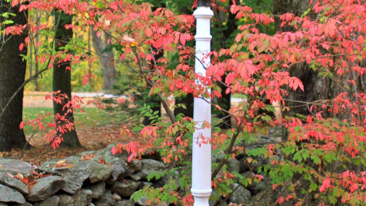 Photo of Outdoor in Ashburnham