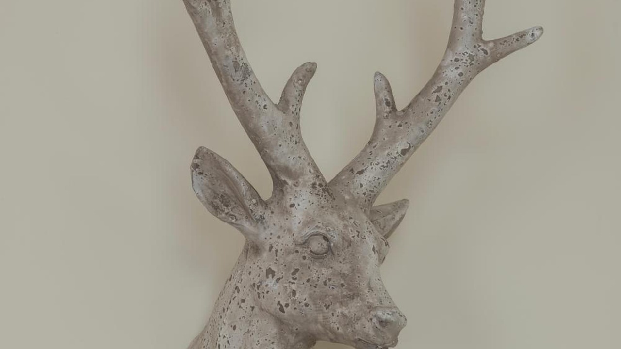 Photo of Others in South Molton