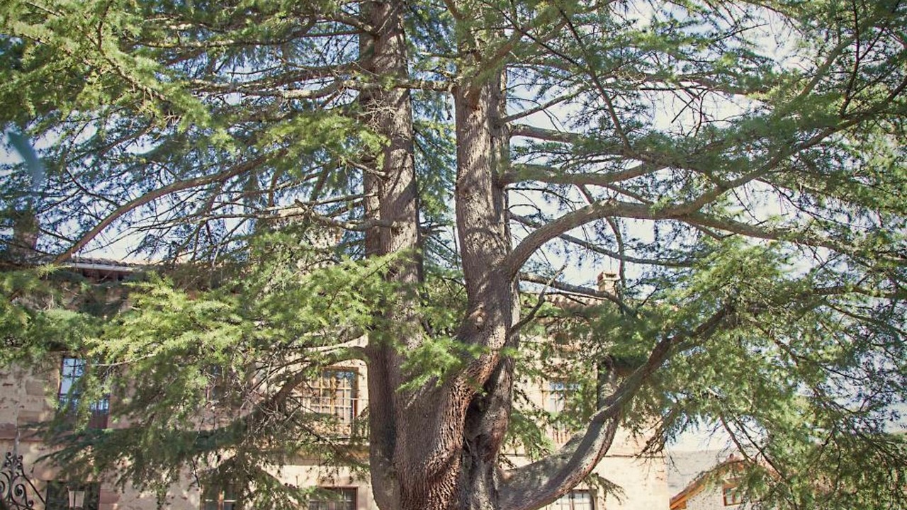 Photo of Outdoor in Ezcaray