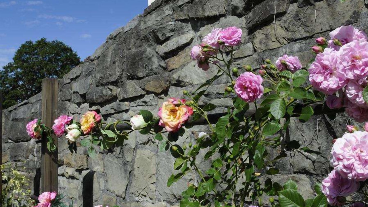 Photo of Outdoor in Benbow