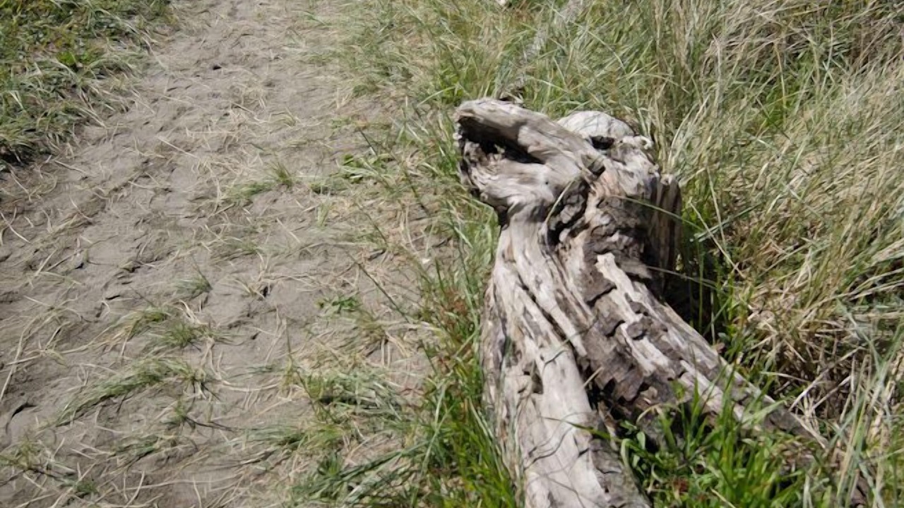 Photo of Others in Gold Beach