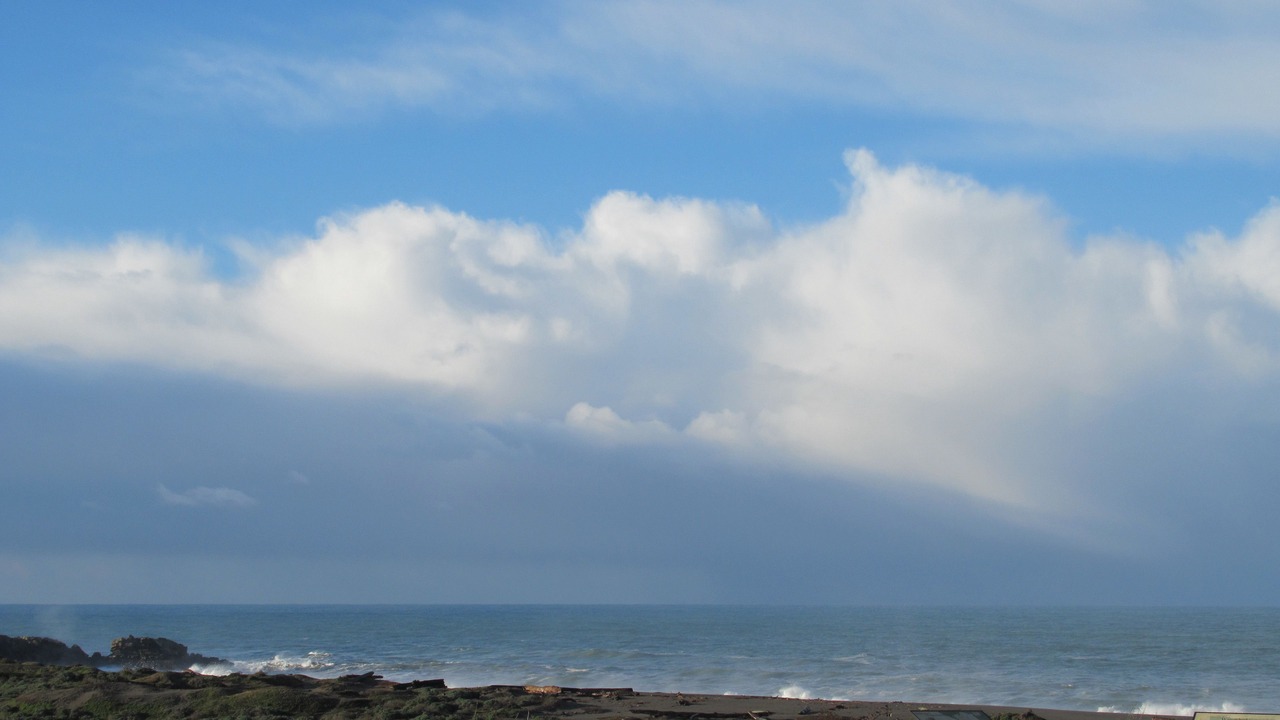 Photo of Others in Gualala