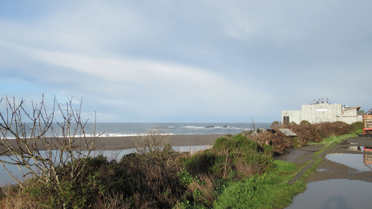 Photo of Others in Gualala