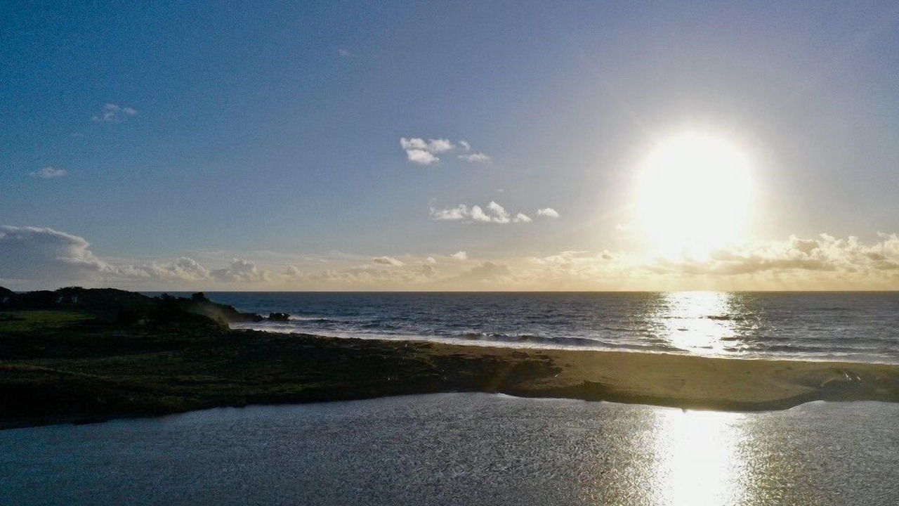 Photo of Outdoor in Gualala