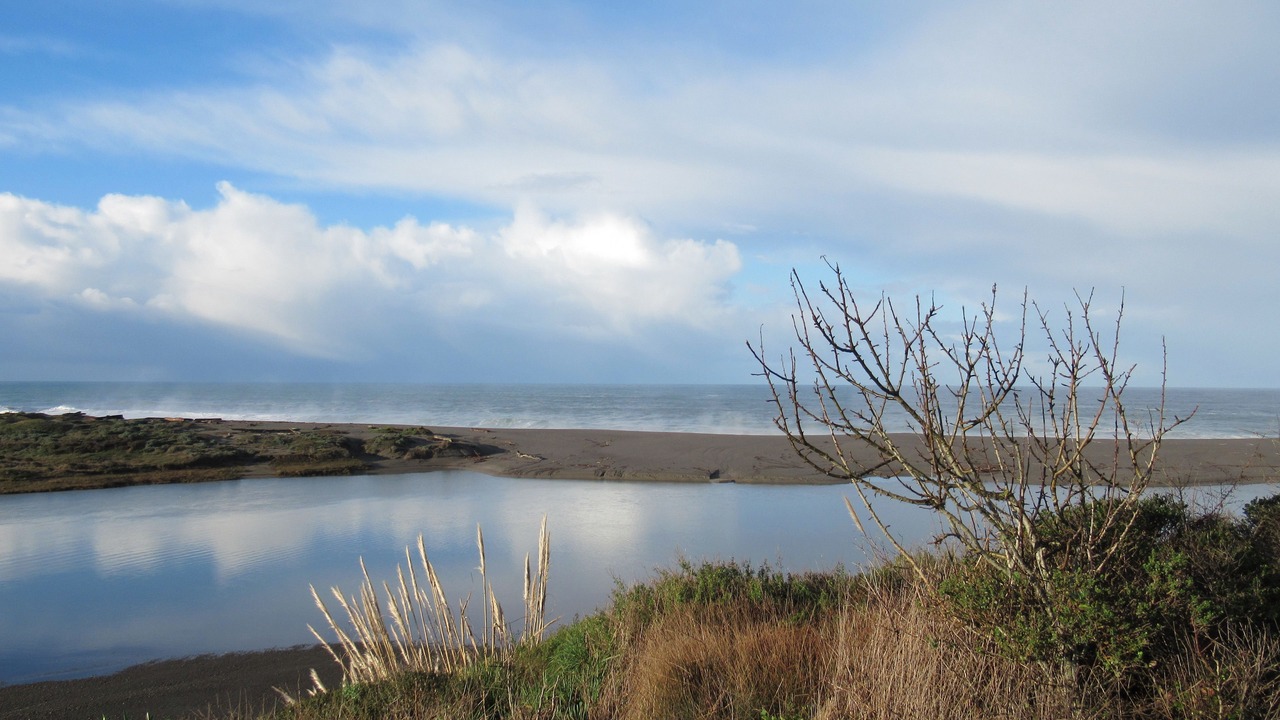 Photo of Others in Gualala