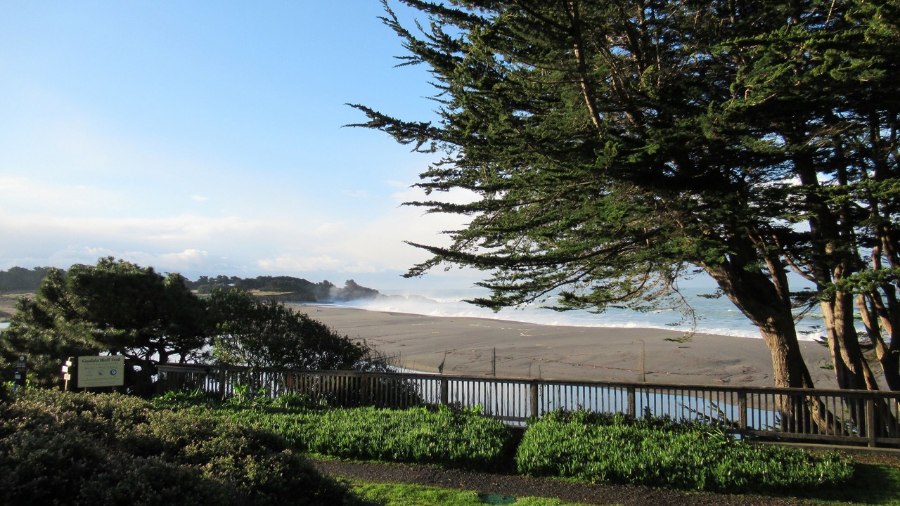 Photo of Outdoor in Gualala