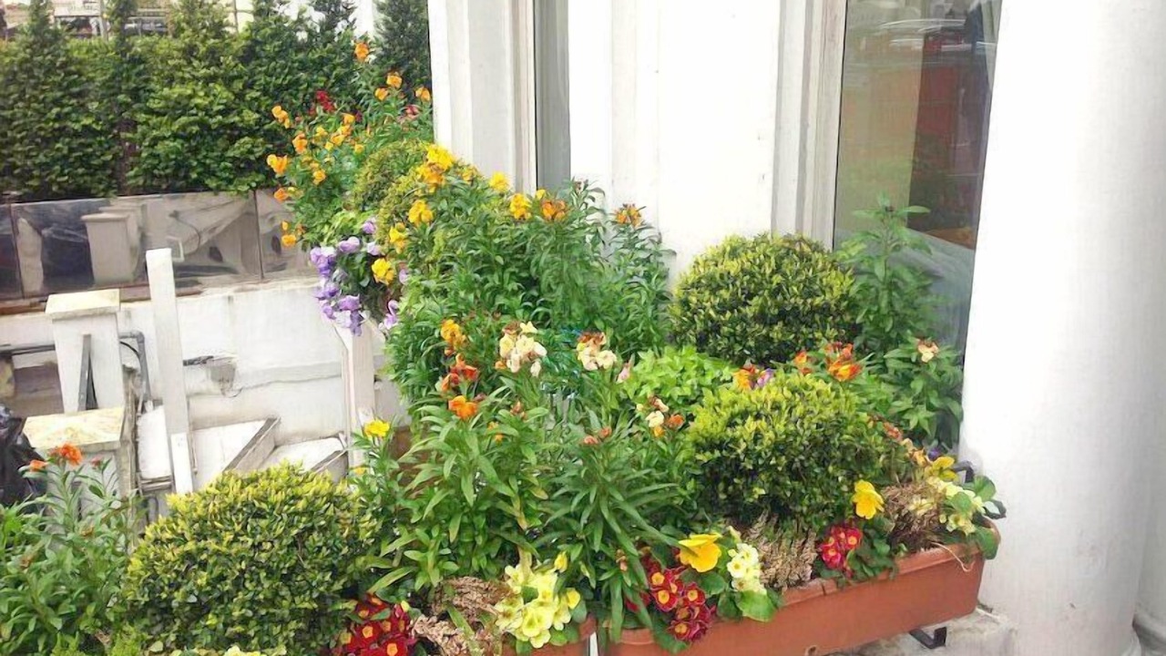 Photo of Outdoor in Holland Park