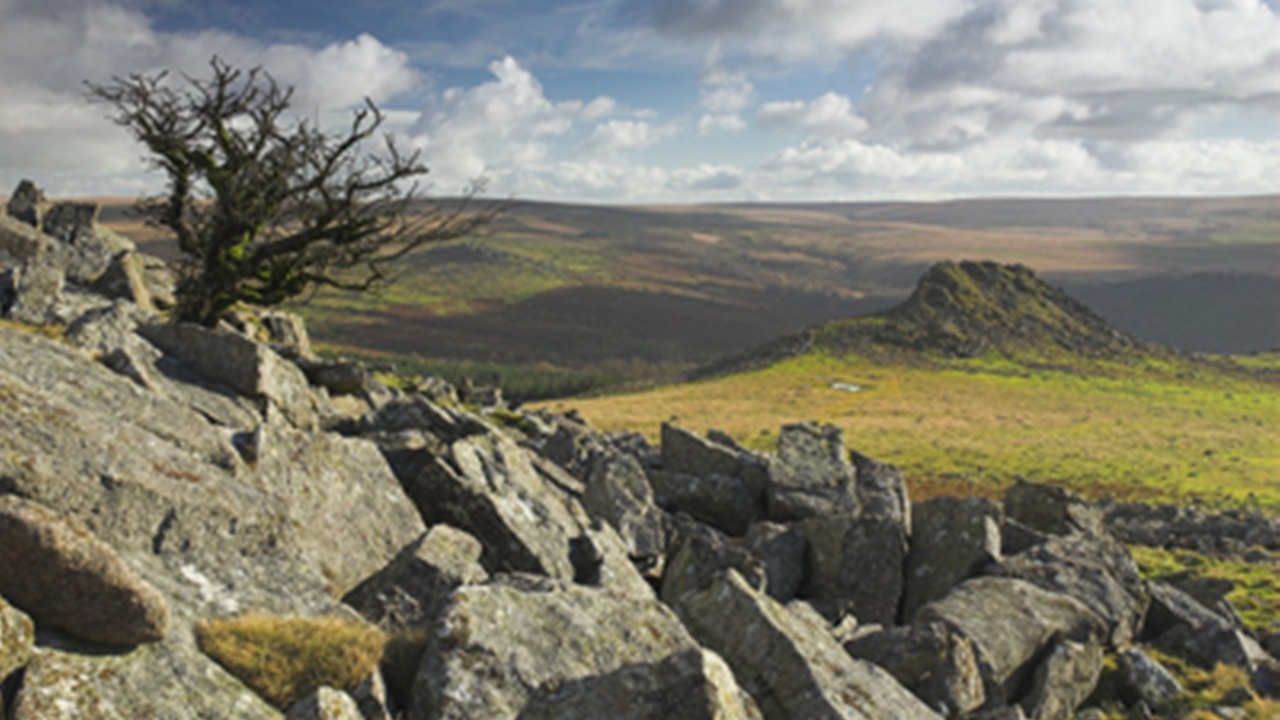 Photo of Outdoor in Okehampton
