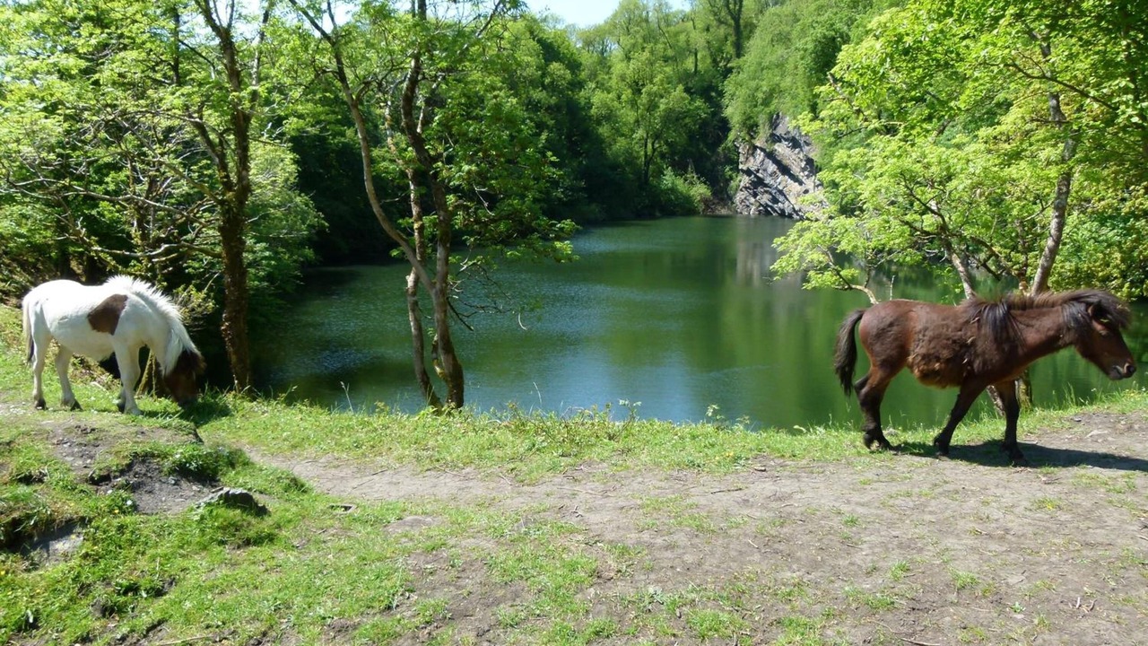 Photo of Outdoor in Okehampton