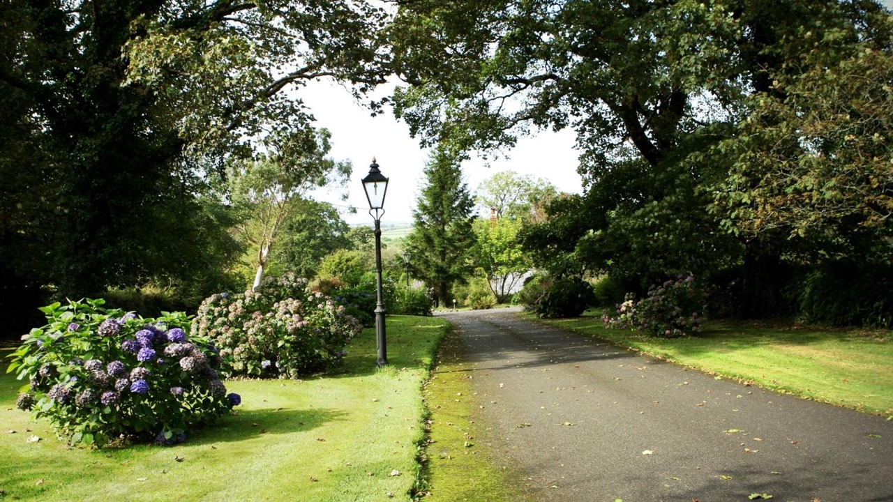 Photo of Outdoor in Okehampton