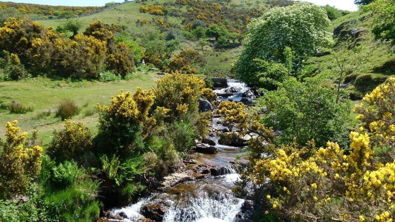 Photo of Outdoor in Okehampton