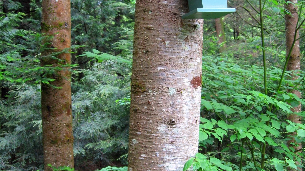 Photo of Outdoor in Waterbury Center