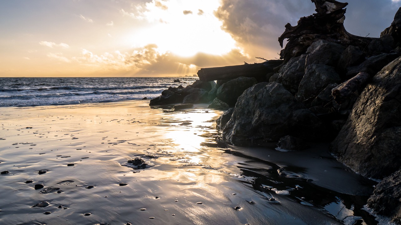 Photo of Others in Ocean Shores