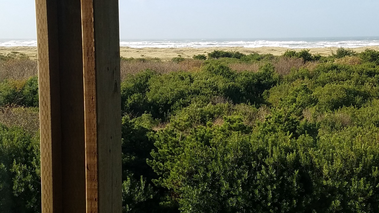 Photo of Others in Ocean Shores