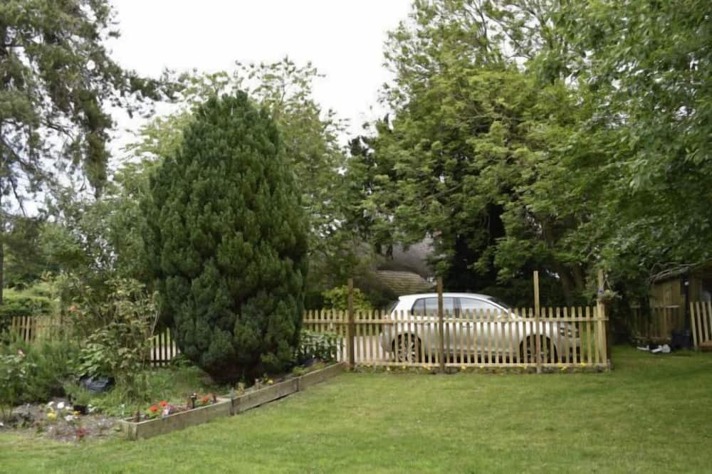 Photo of Outdoor in East Tisted