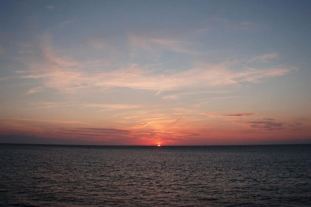 Photo of Others in Bossington