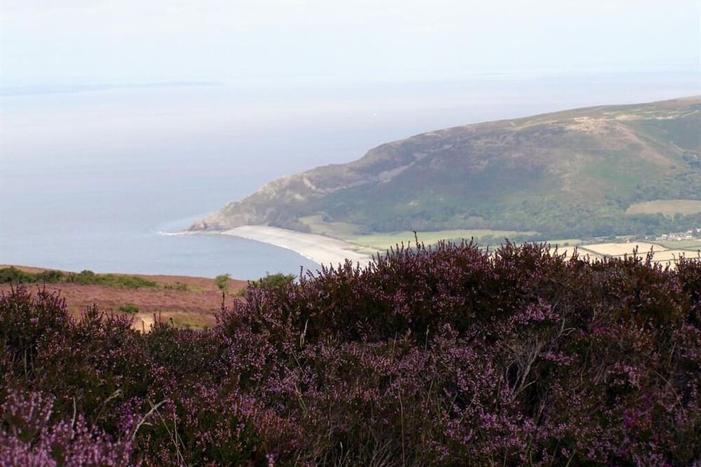 Photo of Others in Bossington