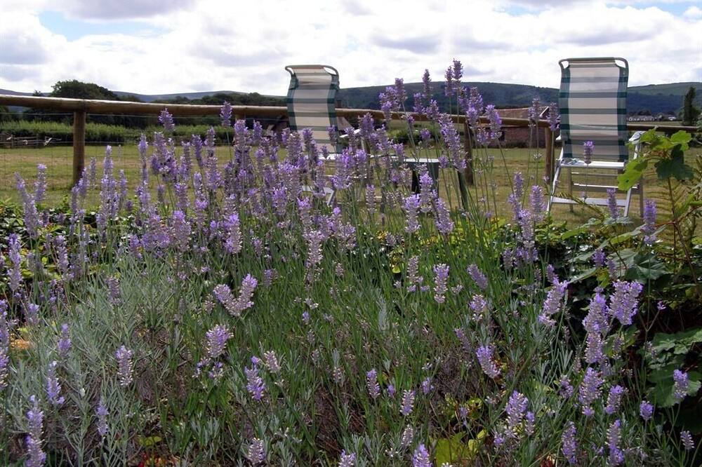 Photo of Outdoor in Bossington