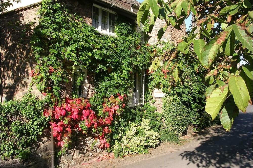 Photo of Outdoor in Bossington