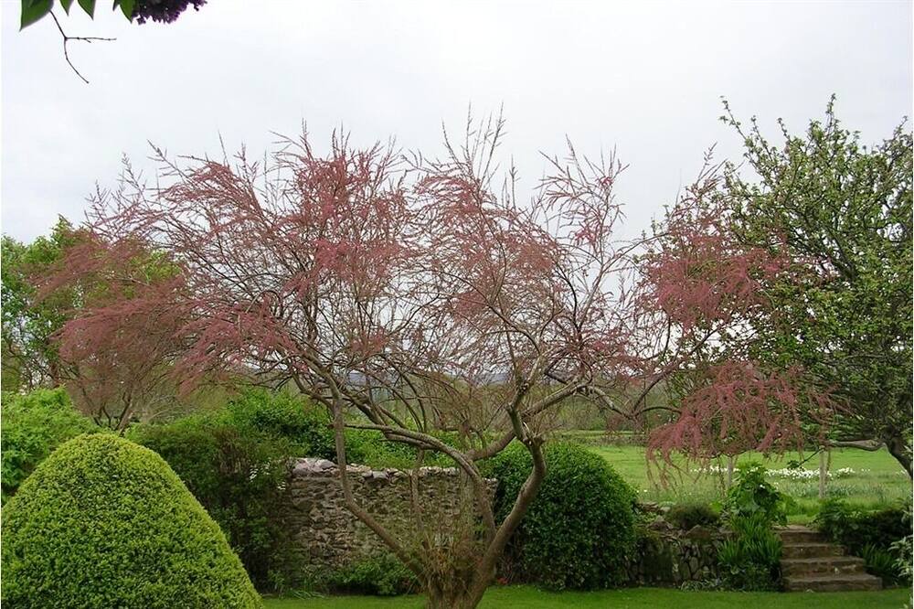 Photo of Others in Bossington