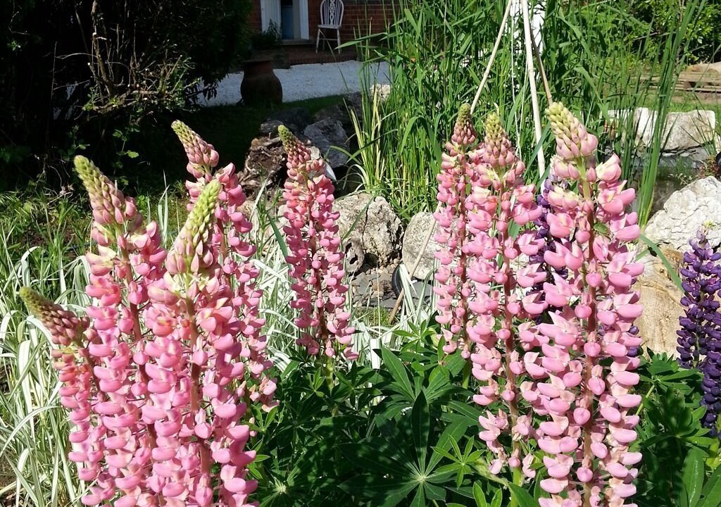 Photo of Outdoor in Claygate