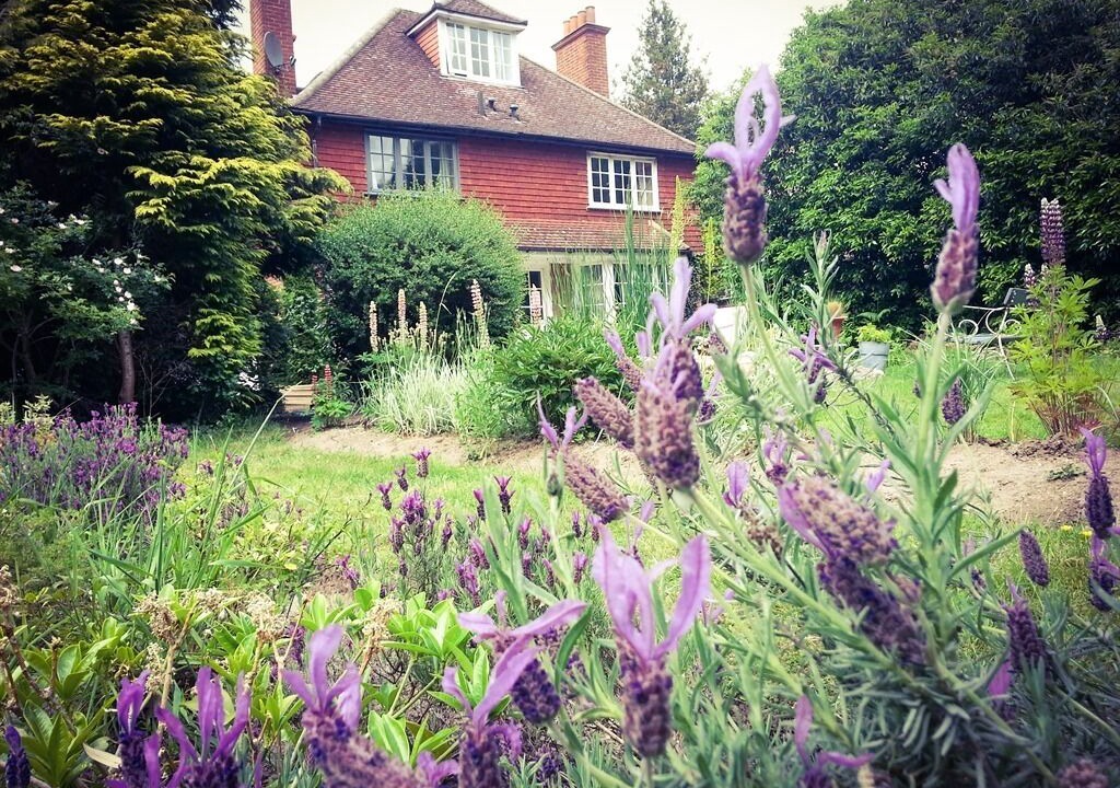 Photo of Outdoor in Claygate