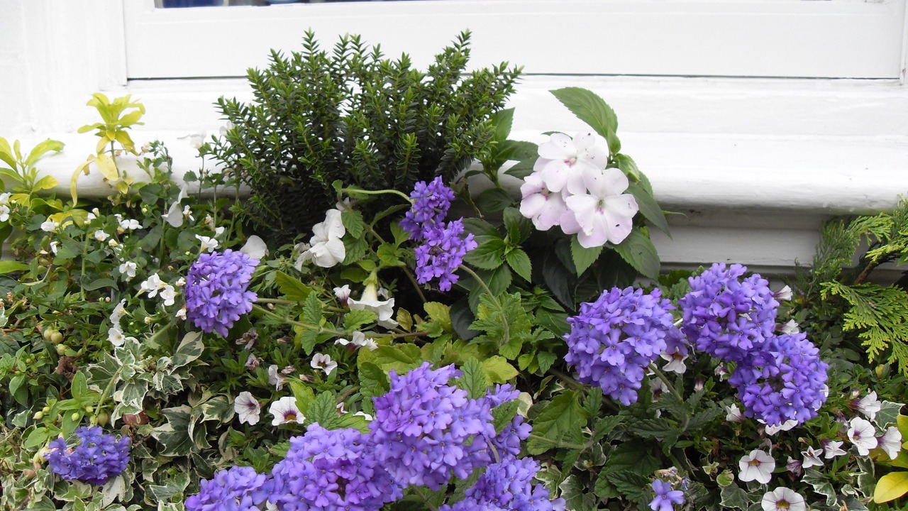 Photo of Outdoor in Tewkesbury