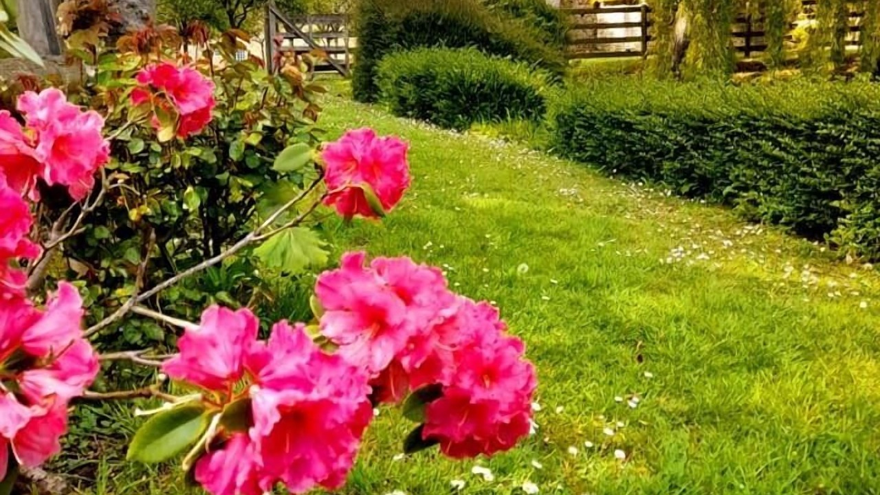 Photo of Outdoor in Crepon